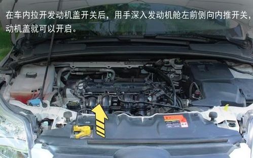 汽车前盖长宽多少